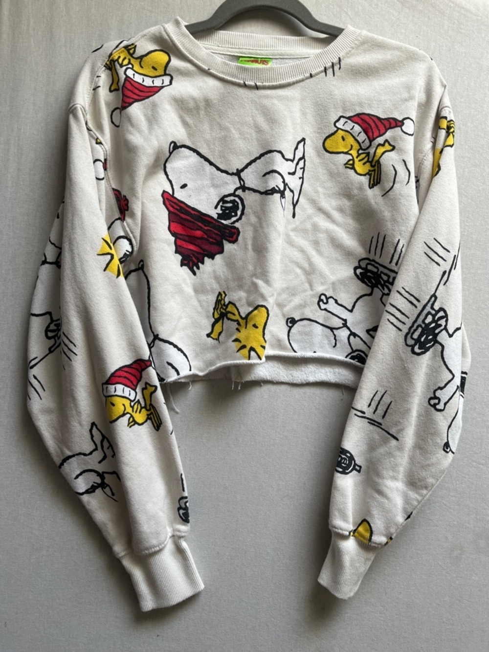 Peanuts Snoopy Woodstock Cropped Sweatshirt Raw Hem Pullover Sz XS
